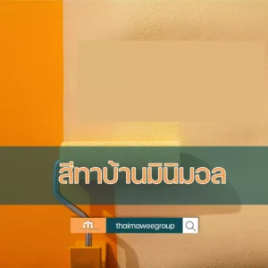 สีทาบ้าน มินิมอล