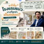 รับออกแบบโรงแรมแมว